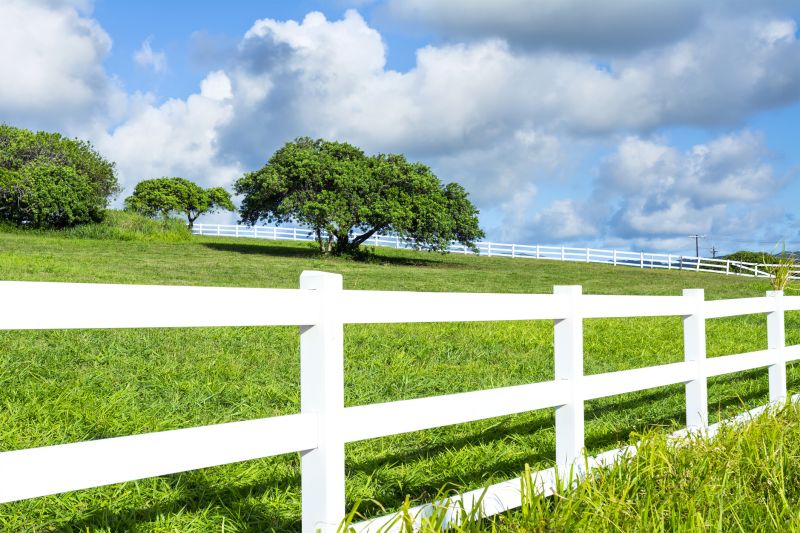 Best Fence Painting Contractors in Hopkins, MN
