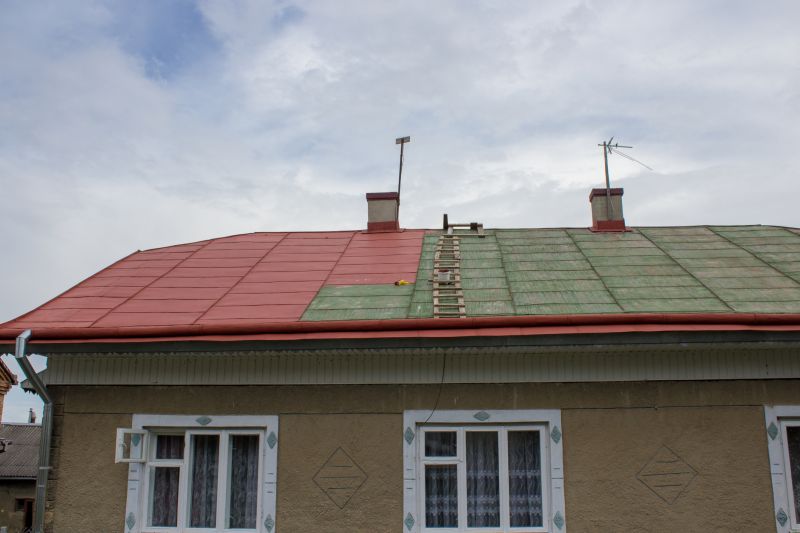 Tile Roof Painting