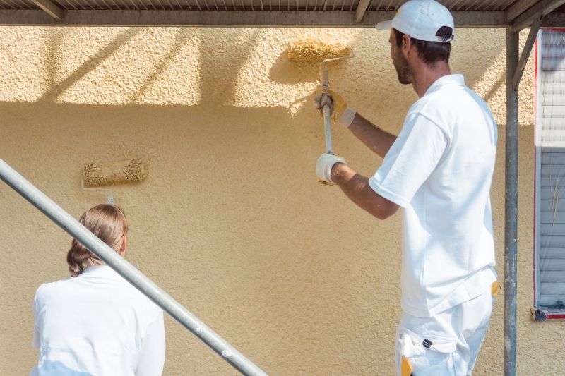 Professional Painting Work